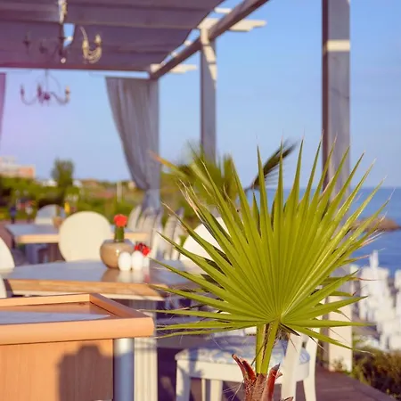 Mia Cassa * 圣弗拉斯